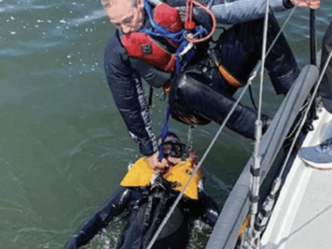 {{brizy_dc_image_alt entityId=